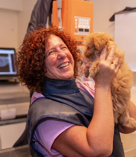 Veterinarians & Practice Owners