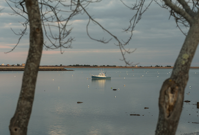 Powder Point Advisors